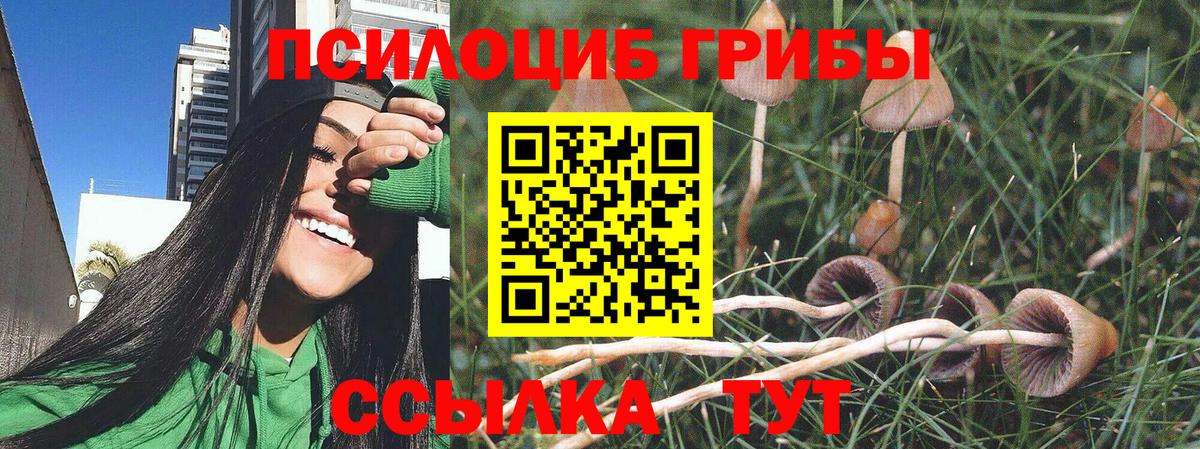 Псилоцибиновые грибы GOLDEN TEACHER Дубна